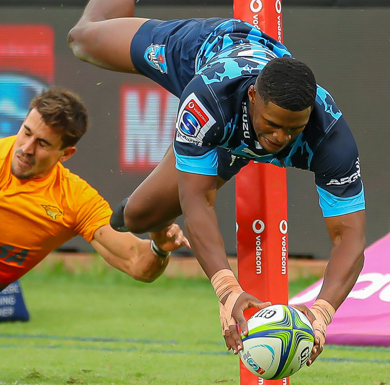 Warrick Gelant Bulls