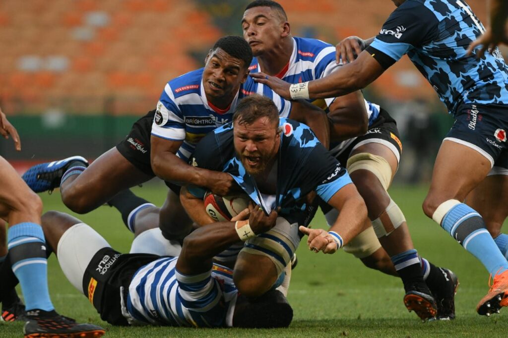 Bulls Action Shot
