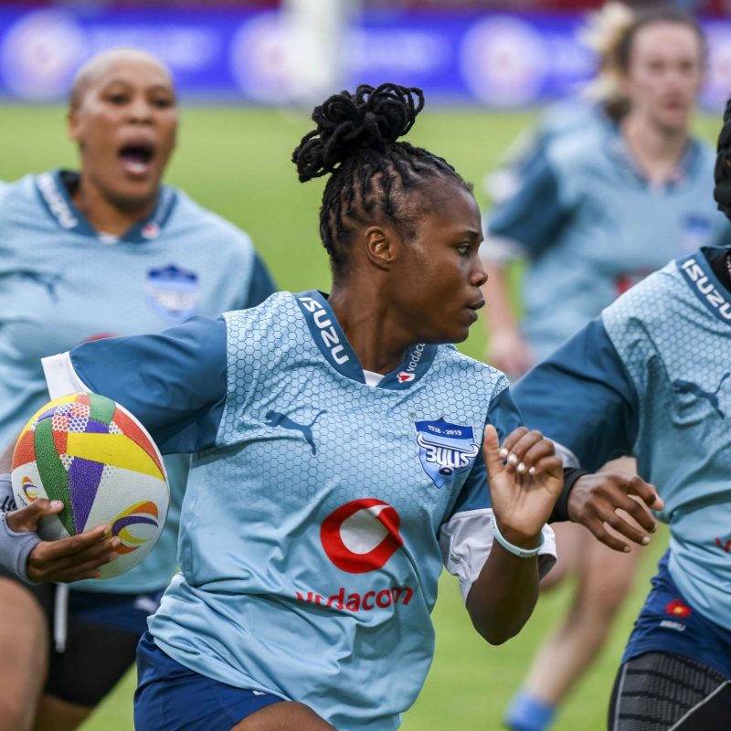 Bulls Daisies in action